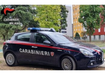 Indagine carabinieri per peculato e frode forniture pubbliche