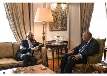 Il ministro degli Esteri Shoukry incontro al Cairo l'omologo Gb