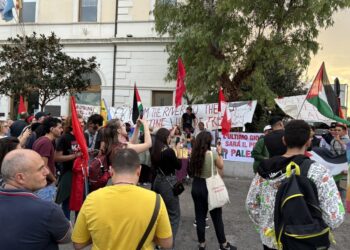 Circa 200 persone di 28 associazioni scendono in piazza