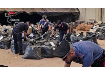 Operazione carabinieri in zona industriale porto di Gioia Tauro