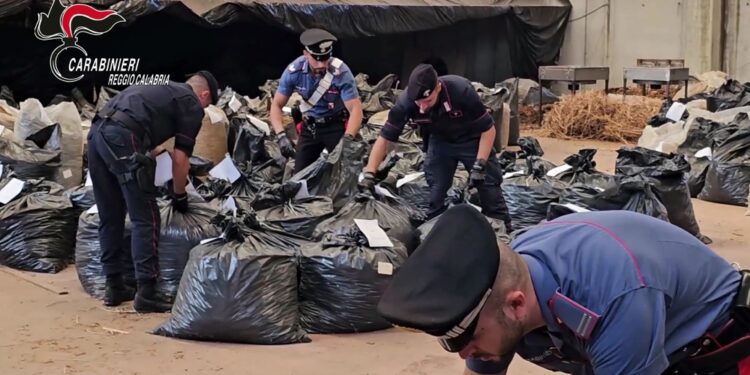 Operazione carabinieri in zona industriale porto di Gioia Tauro