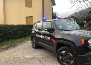 Indagini dei carabinieri nel Pordenonese. Nessun altro coinvolto