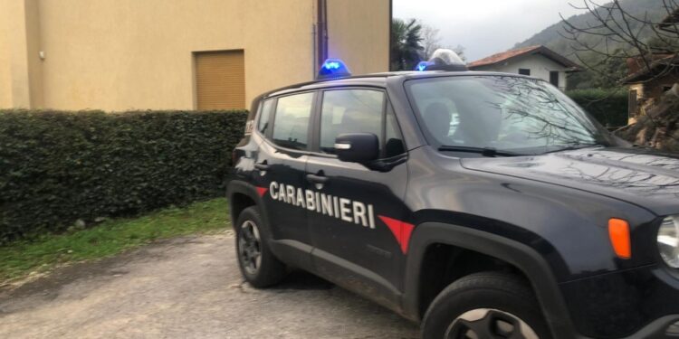 Indagini dei carabinieri nel Pordenonese. Nessun altro coinvolto