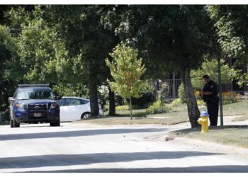 Bandiere israeliane strappate da 2 donne in un centro nel campus