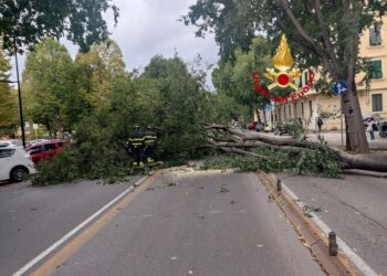 La polizia locale sta gestendo la circolazione