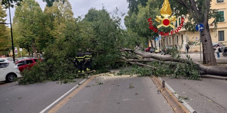 La polizia locale sta gestendo la circolazione