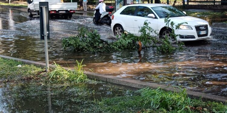 Con un'ordinanza urgente il sindaco chiude l'area verde