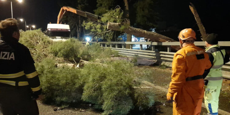 Squadre dei vigili del fuoco al lavoro per tutta la notte