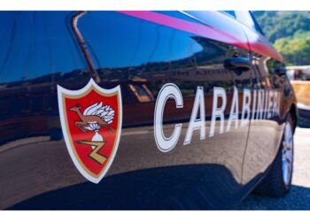 Operazione dei carabinieri