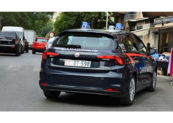 In totale 7 gli arresti da parte dei carabinieri