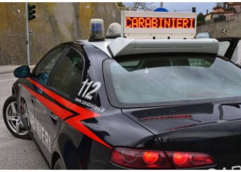 Dai Carabinieri nel Bolognese