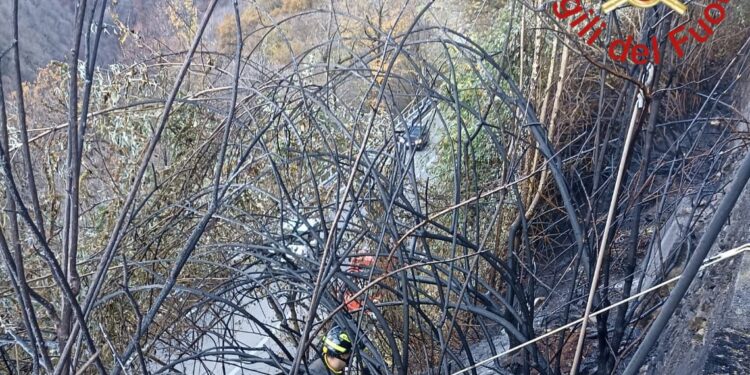 Incendio nei boschi a Brunate