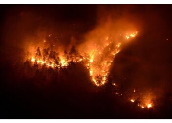 Rogo alimentato dal forte vento. In un'altra zona 2 Canadair