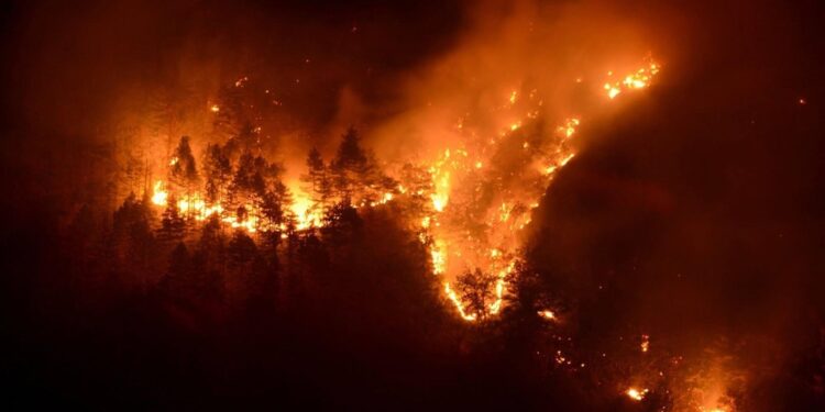 Rogo alimentato dal forte vento. In un'altra zona 2 Canadair