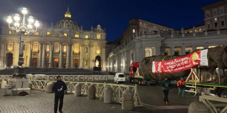 La cerimonia domani pomeriggio in piazza San Pietro