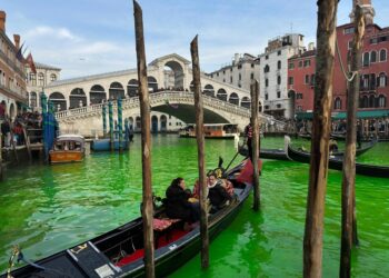 Ambientalisti si calano da ponte Rialto