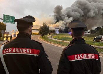 Ordinanza di Gualtieri