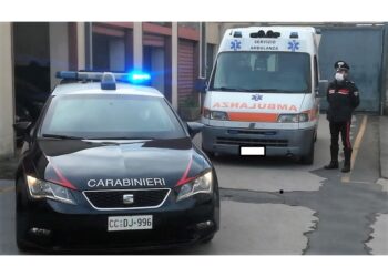 La donna ai carabinieri: "un mese fa è deceduta in un incidente"