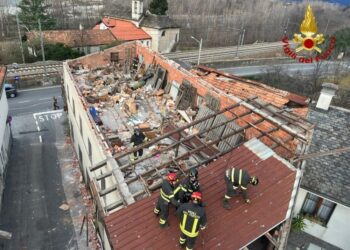 Una pianta è crollata sulla statale del Sempione