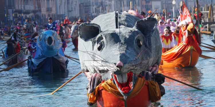 La 'Pantegana' portata a remi da San Marco a Rialto