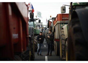 Le organizzazioni agrarie annunciano la mobilitazione nel Paese