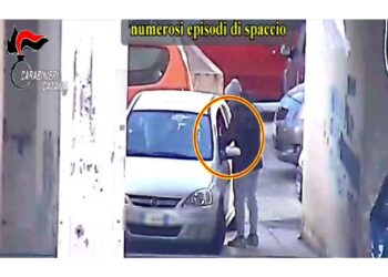 'Drug room' per drogarsi. 'Basi logistiche' in cinque case Iacp