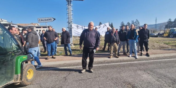 Sono sul prato della rotatoria