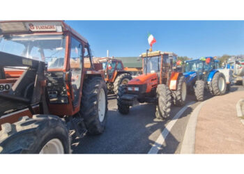 Traffico rallentato ma nessun blocco della circolazione