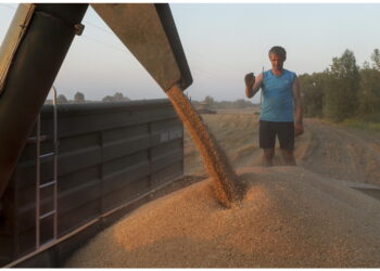 Lo annuncia il ministro dell'Agricoltura