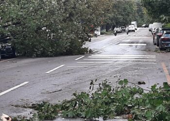 Allerta gialla in regione fino alla mezzanotte