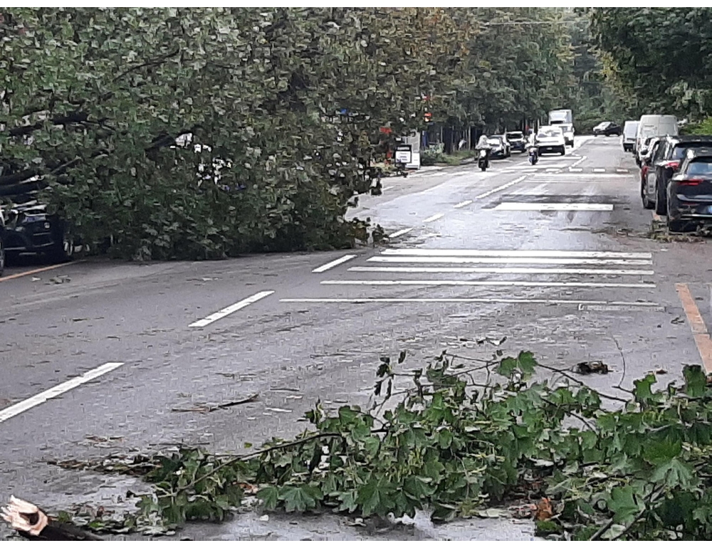 Raffiche di vento fino a 100 km h sulla costa Toscana EspansioneTv