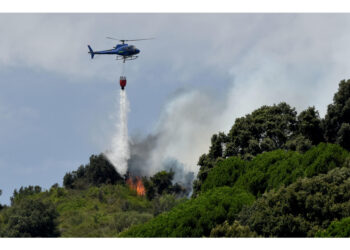 A Roma incontro tra Protezione civile nazionale e regionale