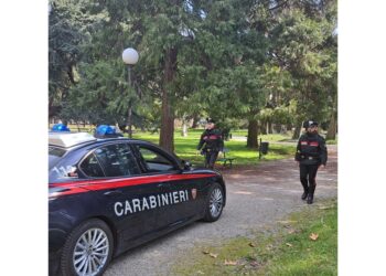 Girava con l'arma senza tappo rosso nel Reggiano