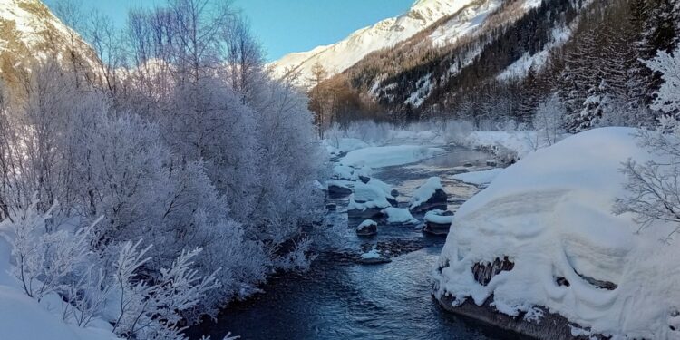 Sole e freddo