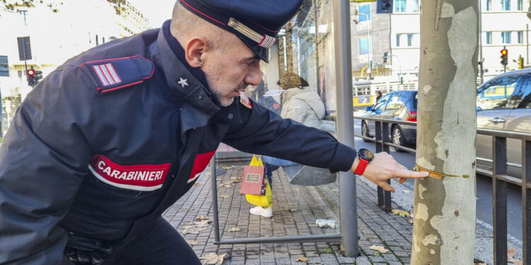 Così il 24enne davanti al gip di Milano