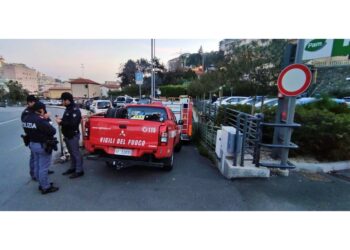 Indagini per capire se si tratta di ragazzo dato per scomparso