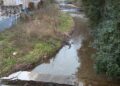 Sulla sinistra, la penisola che si è formata nel Torrente Cosia vicino al ponte di San Martino