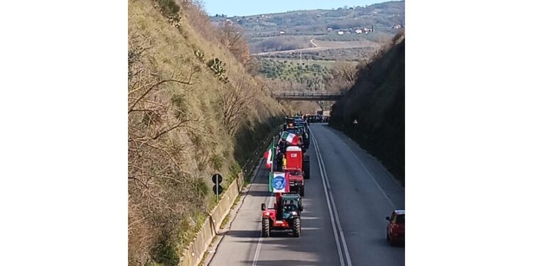 'Battaglia di tutti gli italiani