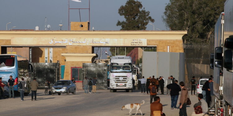 Lo rende noto la Mezzaluna Rossa nel Sinai