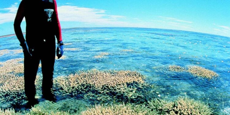 Causato quando l'acqua rimane insolitamente calda per settimane