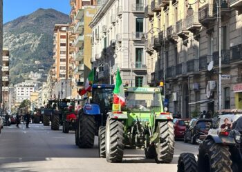 Dai cittadini incoraggiamenti ai manifestanti