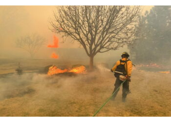 I forti venti alimentano le fiamme