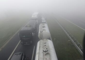 Il limite di velocità indicato è 50 km/h