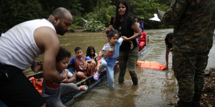 Giungla al confine con Colombia