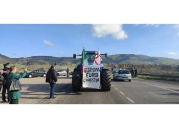 Un centinaio di manifestanti su cavalcavia statale 131