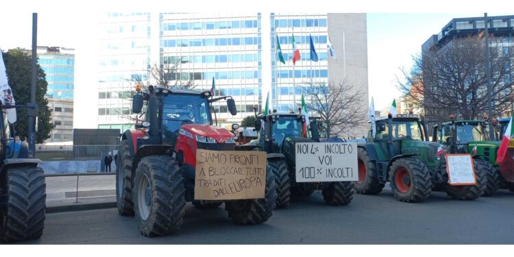 Mucca Ercolina sotto la sede della Regione