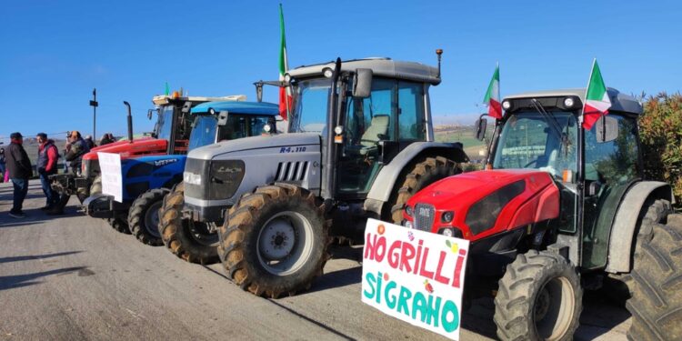 Stamattina all'altezza del bivio Gulfa nei pressi di Sambuca