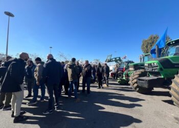 Venerdì una delegazione a Roma per la manifestazione nazionale