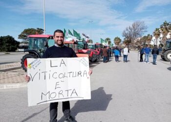 Segretario Confsal incontrerà ministro Lollobrigida a Roma