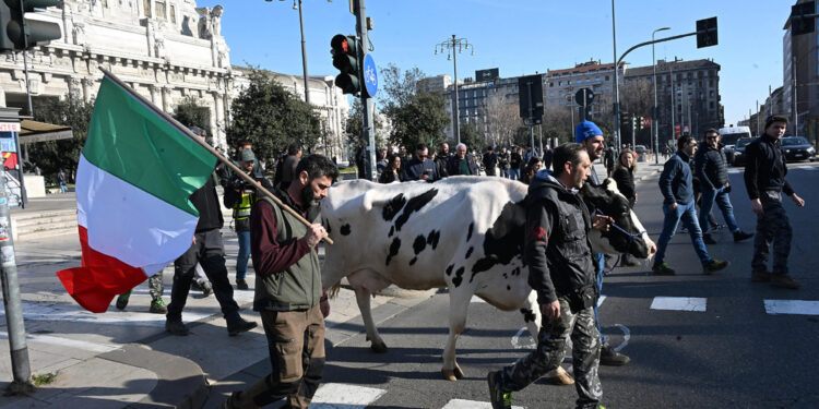 Dai metalmeccanici dell'Italsider ai Cobas con la mucca Ercolina